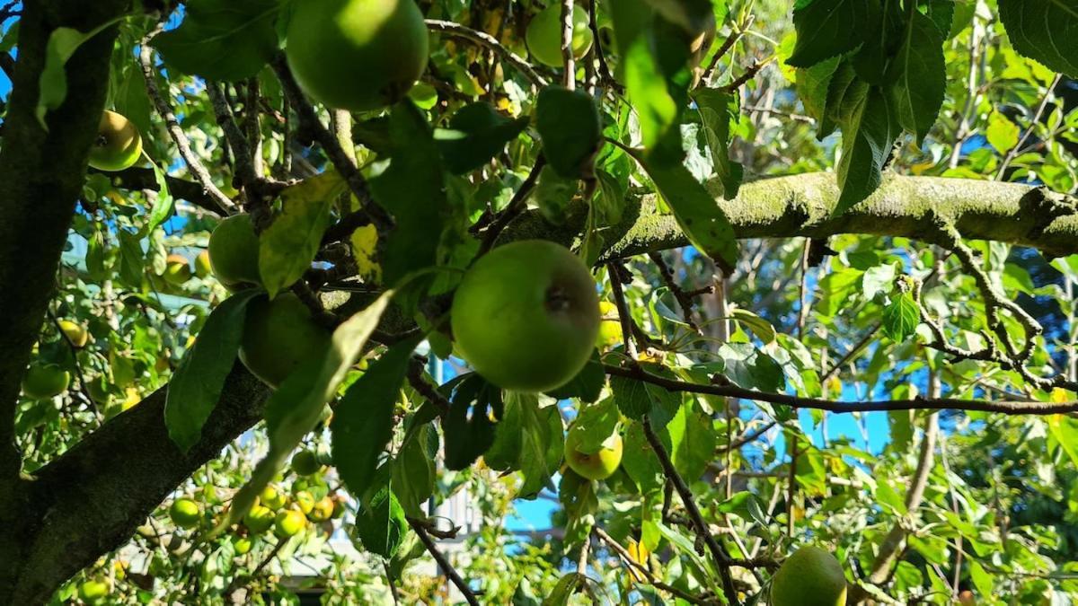 Willa Bidwills Gem Greytown Zewnętrze zdjęcie